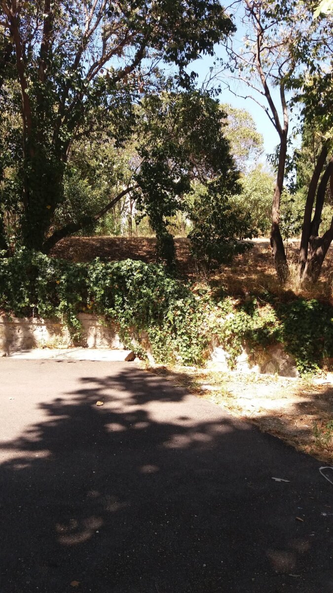 Petites Soeurs des Pauvres ma Maison EHPAD EHPAD à MARSEILLE