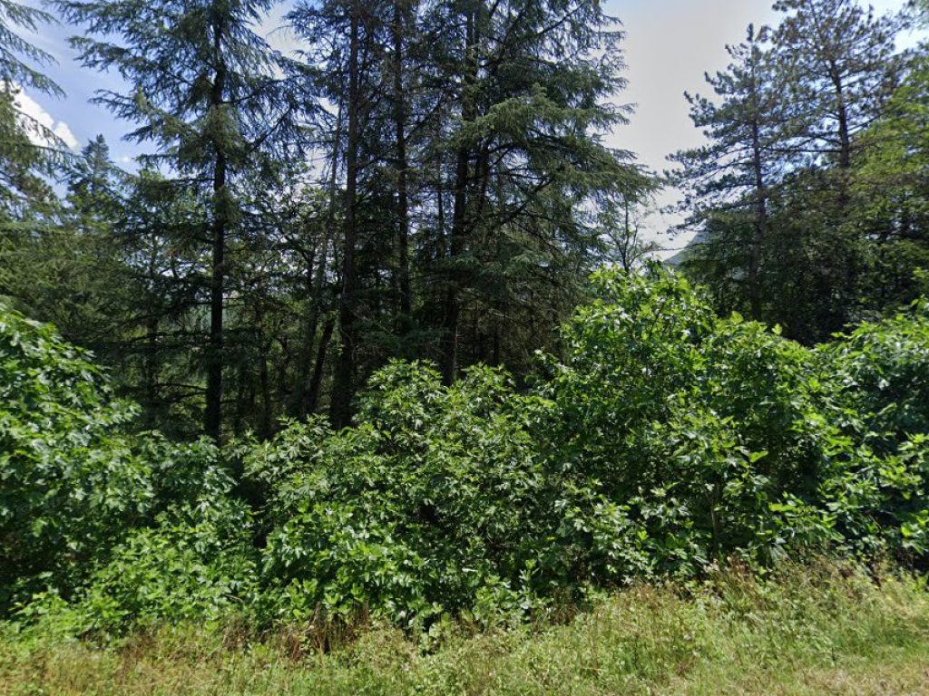 ehpad-saint-martin-sumene_featured_image-1